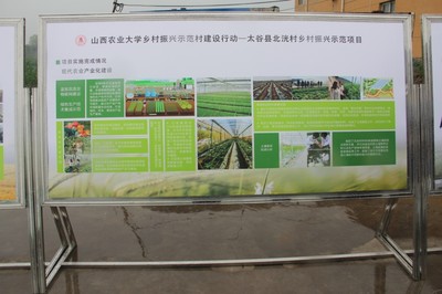 園藝學院春菜品種展示交流會 科技賦能農業，創新引領未來